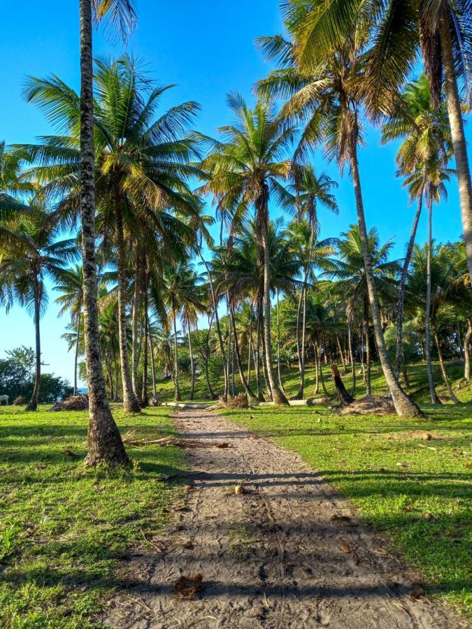 Pousada Beija Flor - Ilha Boipeba Velha Boipeba Esterno foto